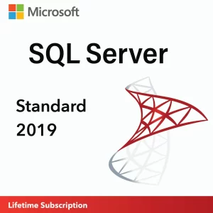 Microsoft SQL Server 2019 Standard license key for advanced data management and business analytics