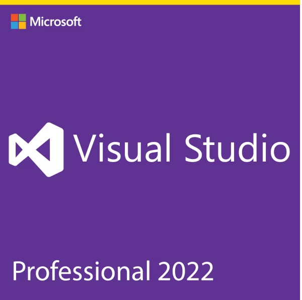 Visual Studio 2022 Professional 2