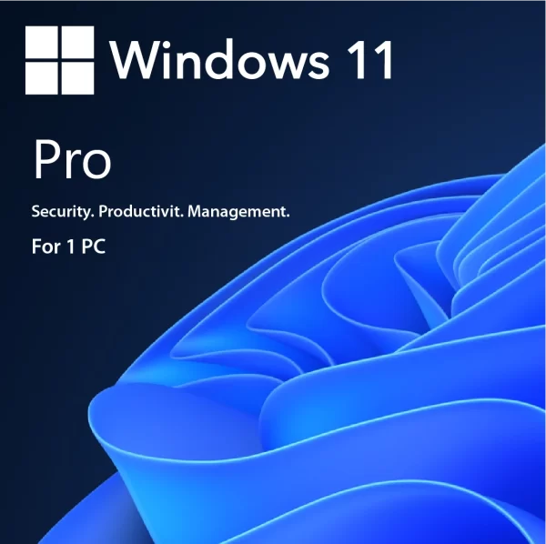 Windows 11 Professional 1